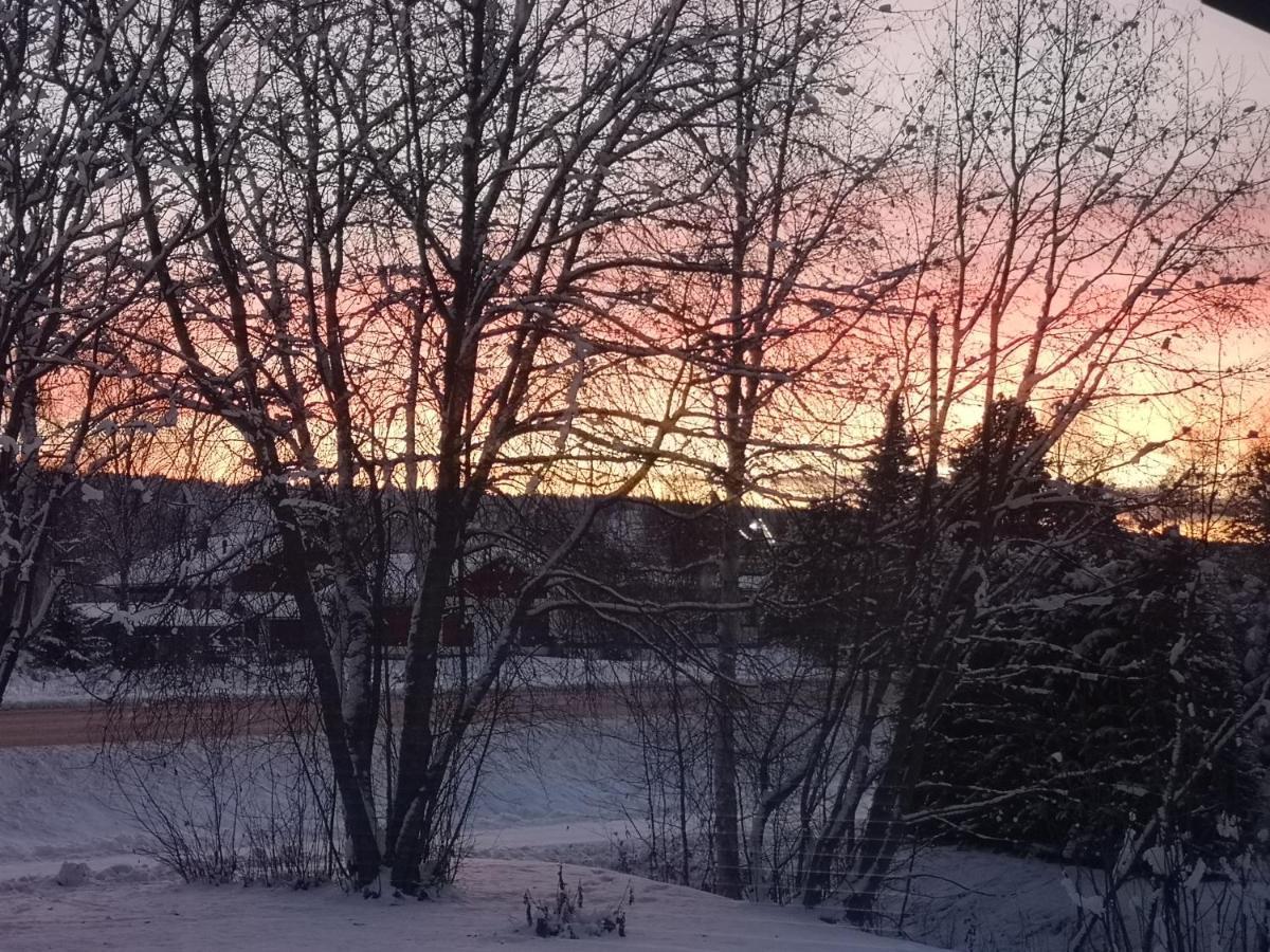 Cosy, Homely House With A Large Courtyard Saarenkylä 외부 사진